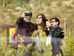 Festival Mar de Tethys 2026 - Bodega Vetas